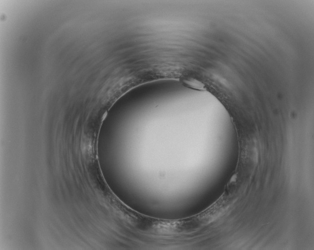 X0000086900084200704231204