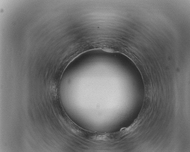 X0000086900086200704231204