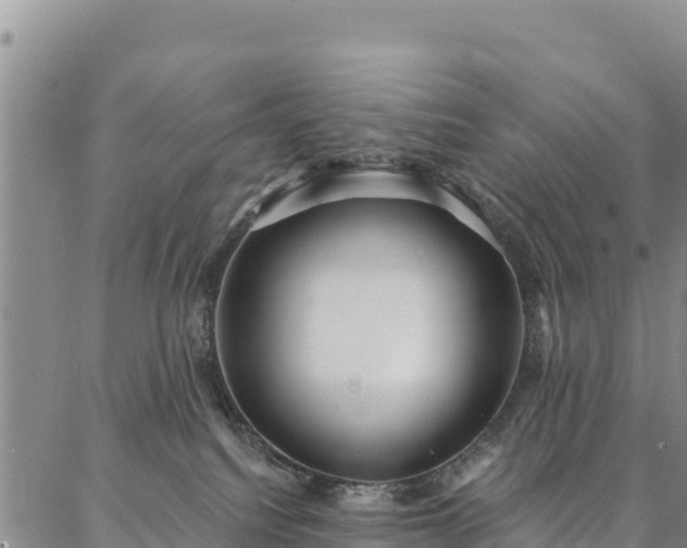 X0000086900088200704231204