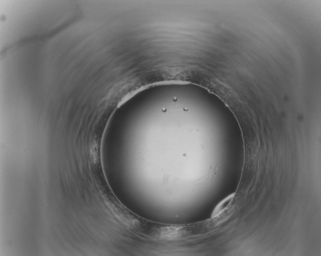 X0000086900090200704231204