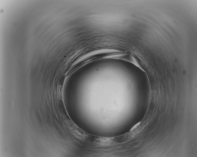 X0000086900093200704231204