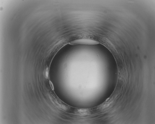 X0000086900095200704231204