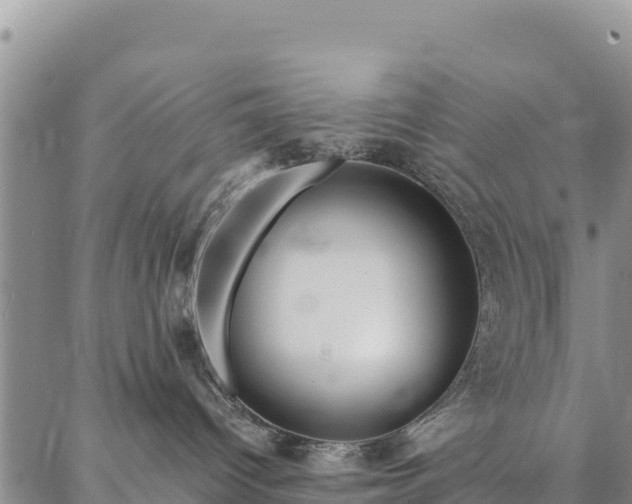 X0000086900096200704231204