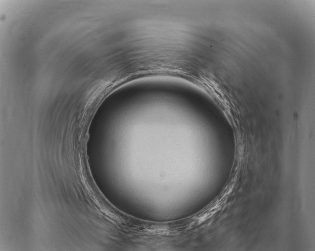 X0000086900097200704231203