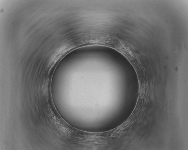 X0000086900098200704231203