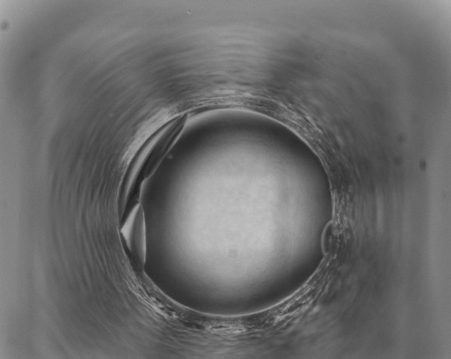 X0000086900099200704231203