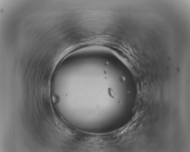 X0000086900100200704231203