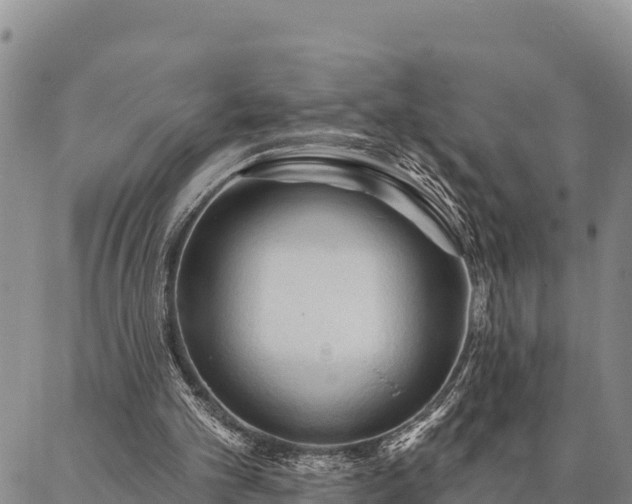 X0000086900101200704231203