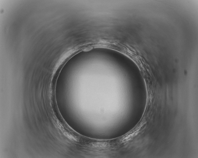 X0000086900102200704231203