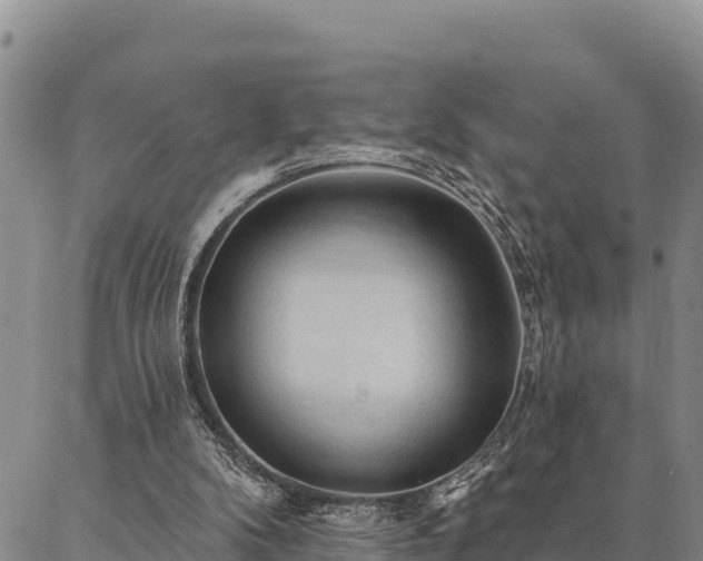 X0000086900104200704231203