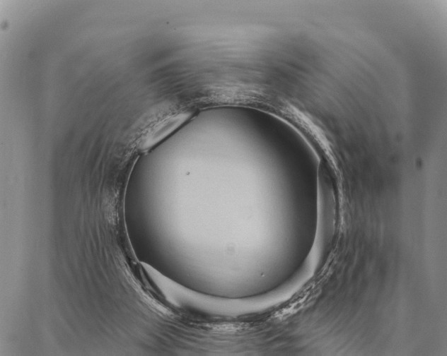 X0000086900105200704231203