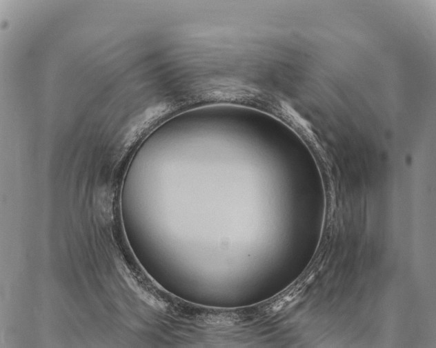 X0000086900106200704231203