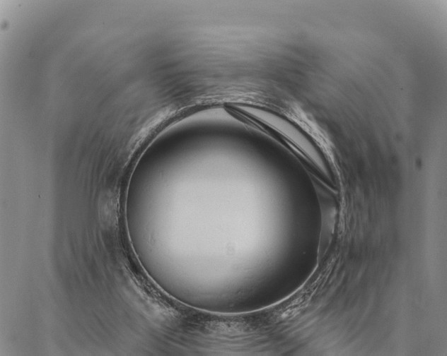 X0000086900107200704231203