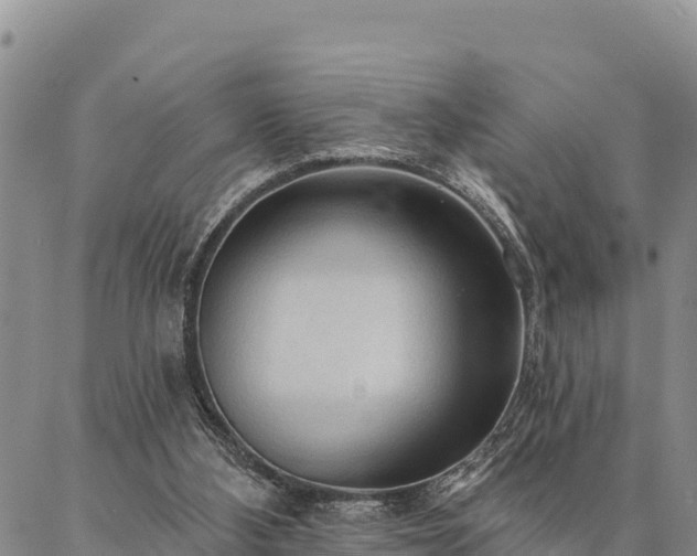 X0000086900108200704231203