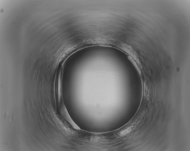 X0000086900109200704231203