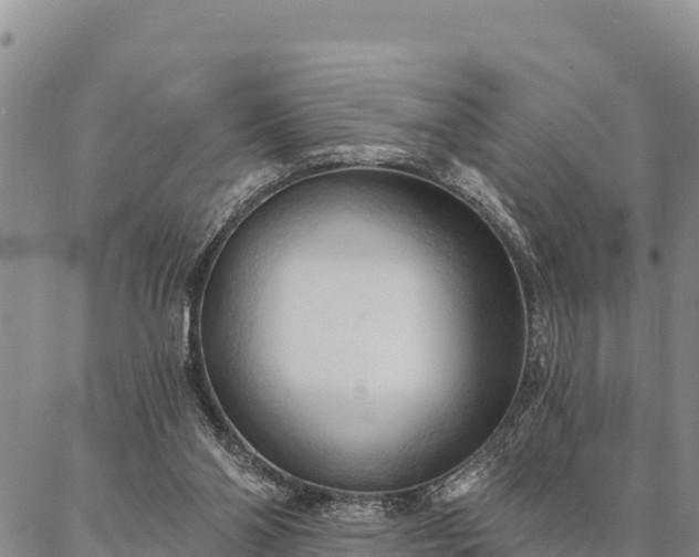 X0000086900110200704231203