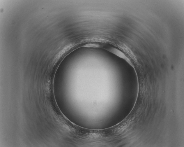 X0000086900111200704231203