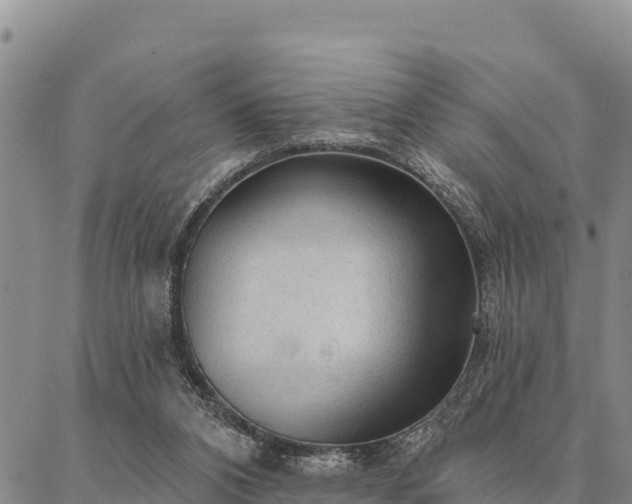 X0000086900112200704231203