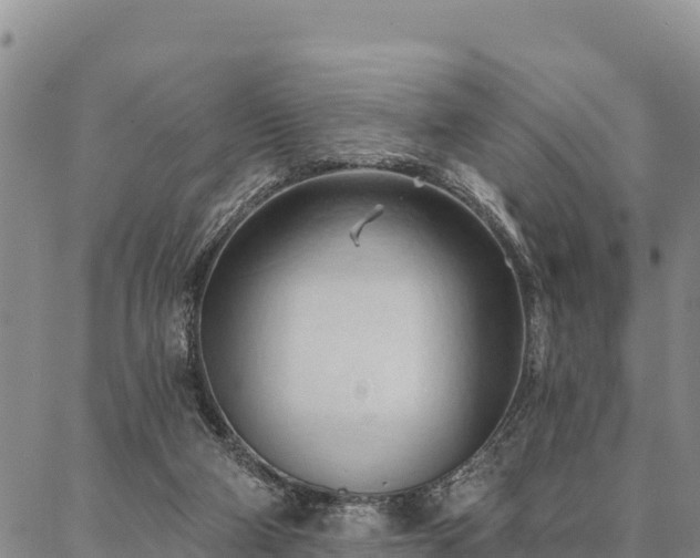 X0000086900114200704231203