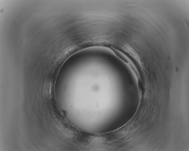 X0000086900115200704231203