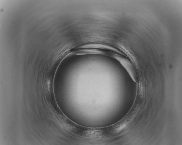 X0000086900117200704231203