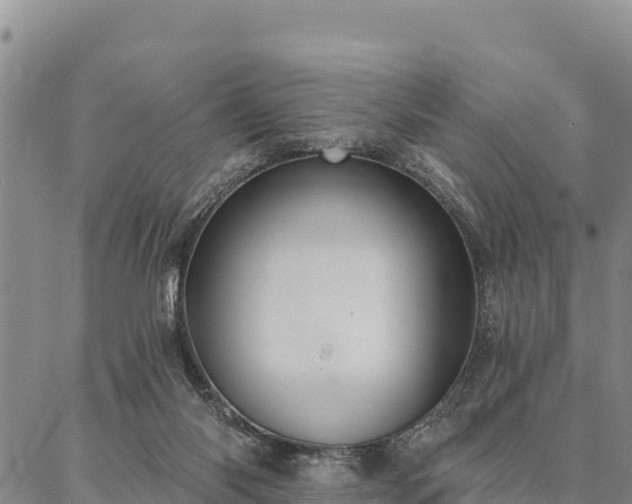 X0000086900118200704231203