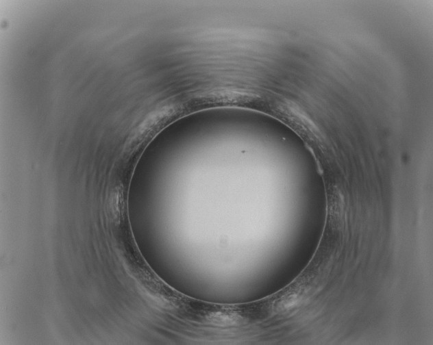 X0000086900119200704231203