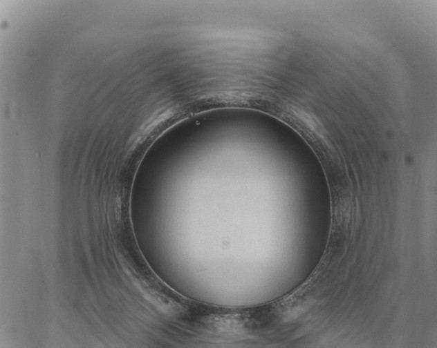 X0000086900120200704231203