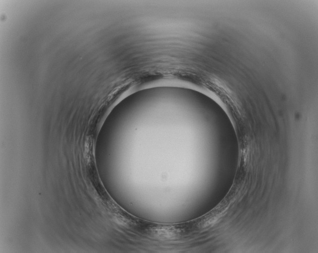 X0000086900121200704231203