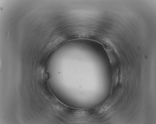 X0000086900123200704231203