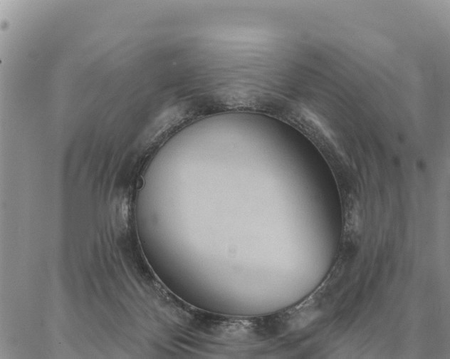 X0000086900124200704231203