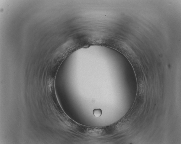 X0000086900125200704231203