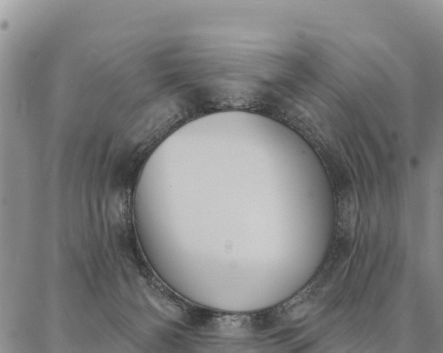 X0000086900126200704231203