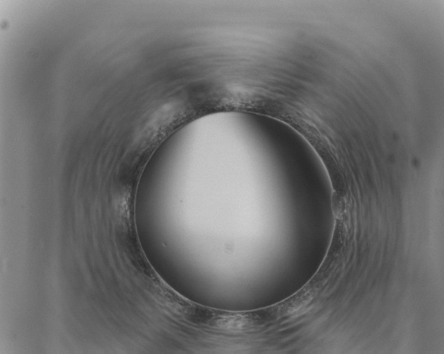 X0000086900127200704231203