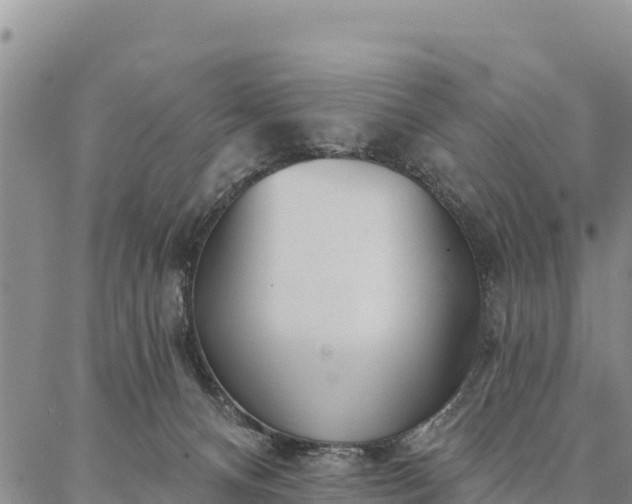 X0000086900128200704231203