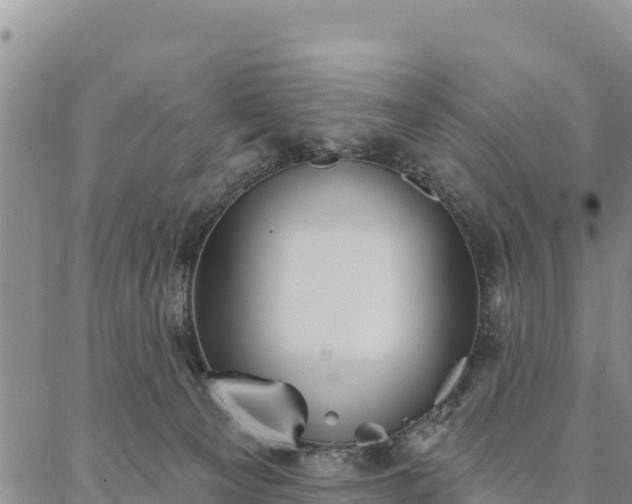 X0000086900129200704231203