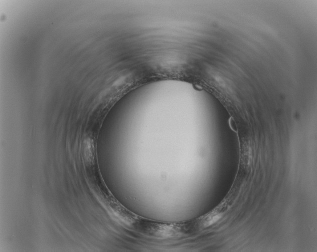 X0000086900130200704231203