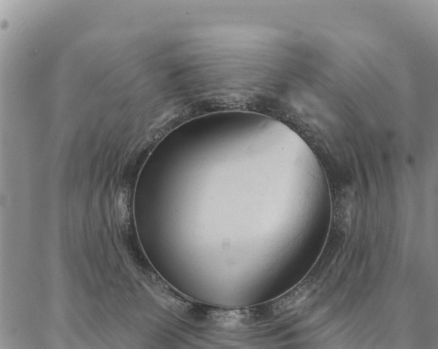 X0000086900131200704231203