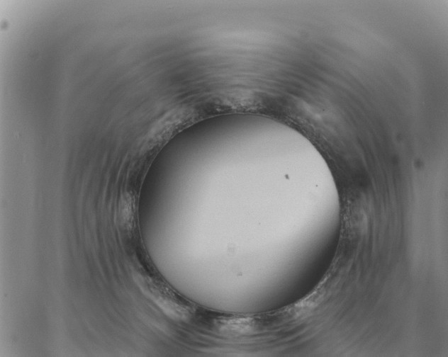 X0000086900132200704231203