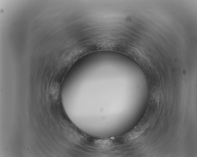 X0000086900133200704231203