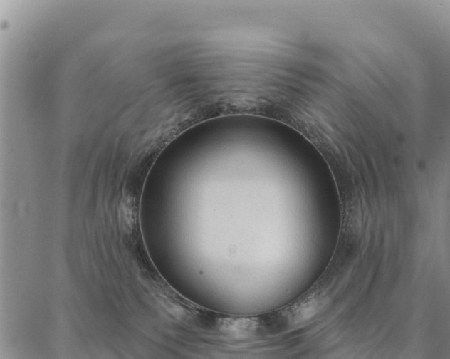 X0000086900135200704231203