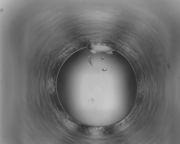 X0000086900136200704231203