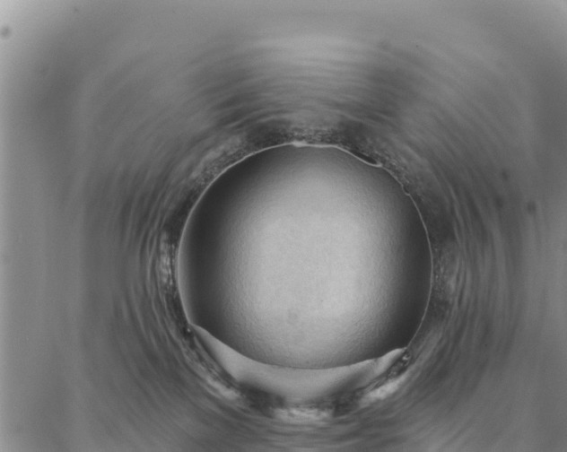 X0000086900137200704231203