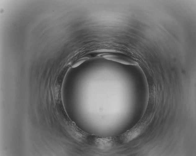 X0000086900139200704231203