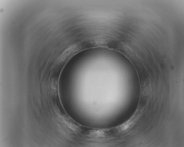 X0000086900140200704231202