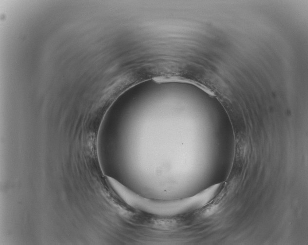 X0000086900141200704231202