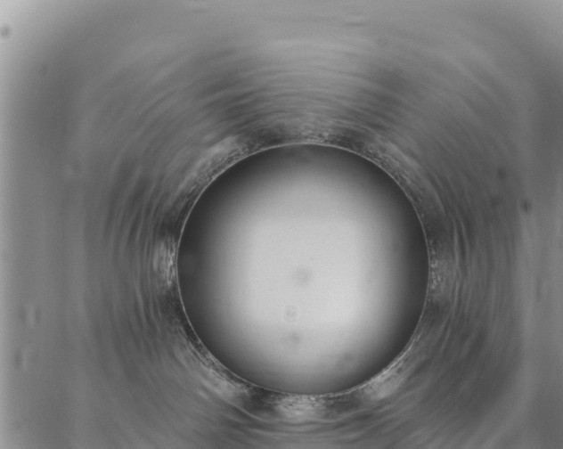 X0000086900142200704231202