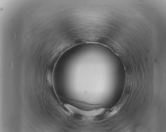 X0000086900143200704231202