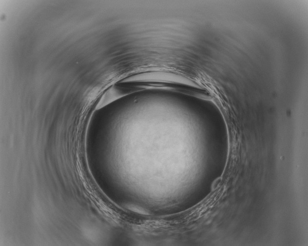 X0000086900145200704231202