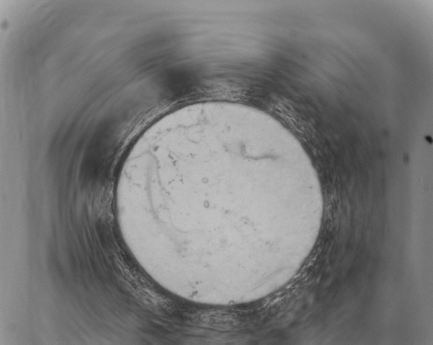 X0000086900146200704231202